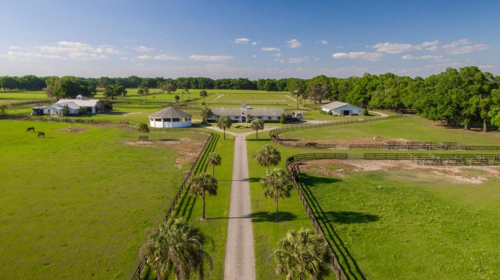 Property Spotlight: Star Runner Farm